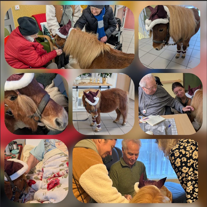 Bild kann nicht geladen werden.