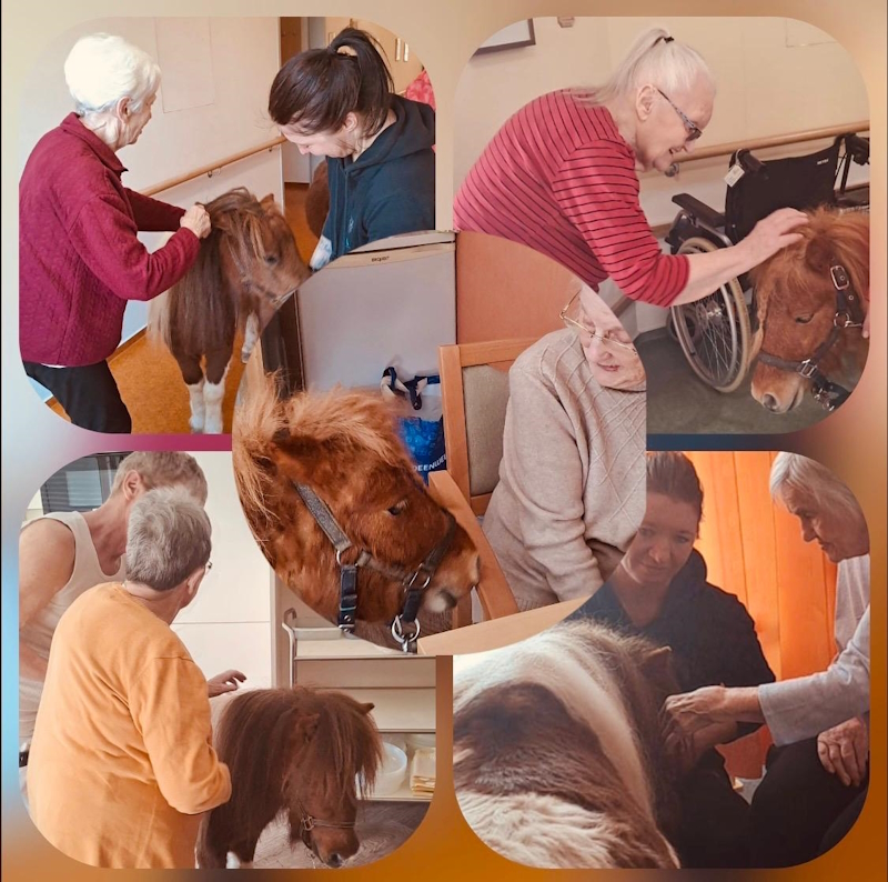 Bild kann nicht geladen werden.