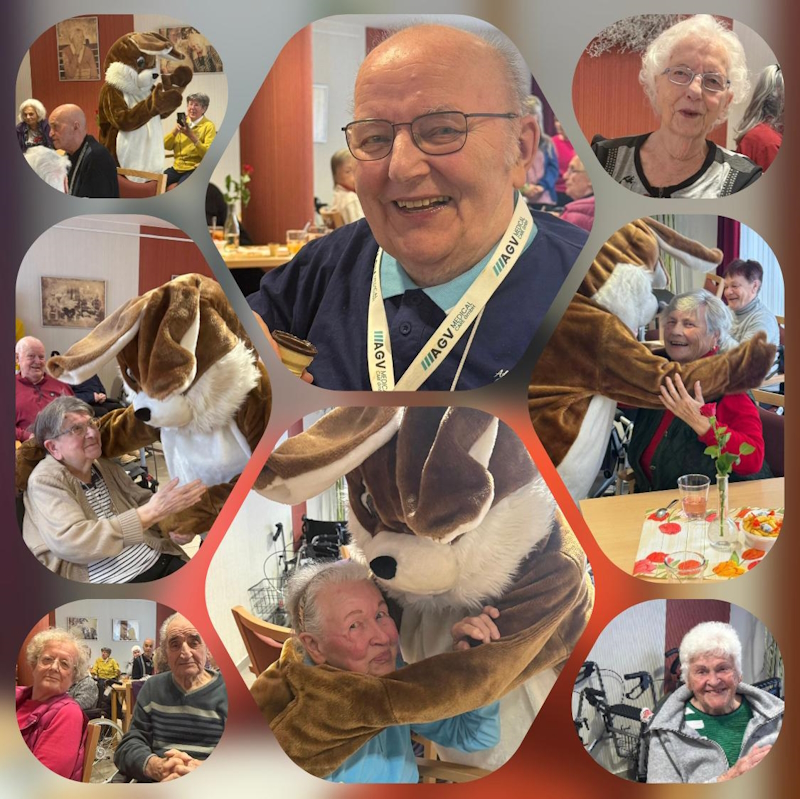 Bild kann nicht geladen werden.