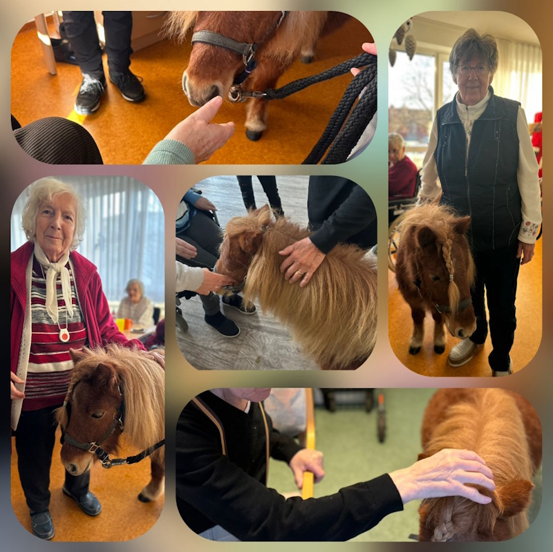 Bild kann nicht geladen werden.