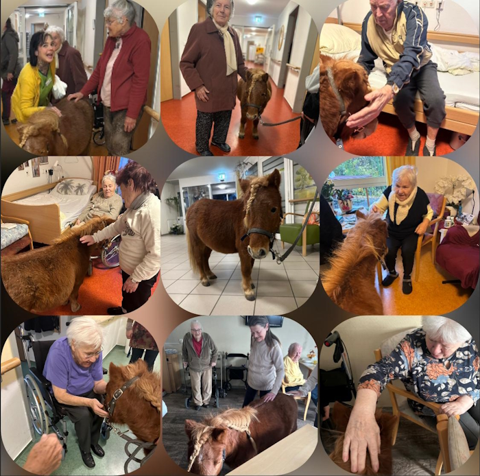 Bild kann nicht geladen werden.